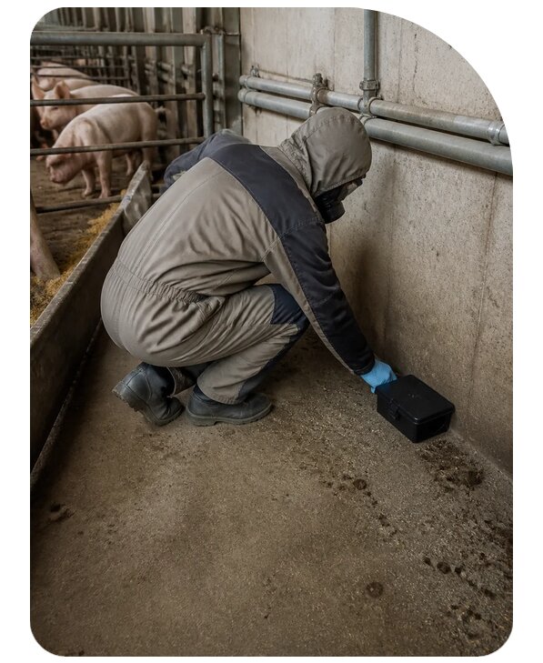 Дератизация фермы в Владимире — профессионально от 15563 р. | Сенат-Вдм